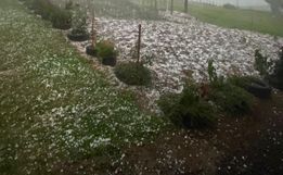 Temporal de granizo deve causar prejuízo médio de 20% em SMOeste