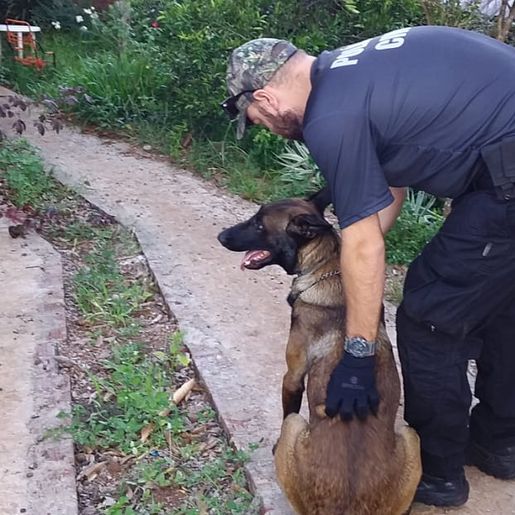 Polícia Civil prende suspeito apontado como distribuidor de drogas na região Extremo Oeste