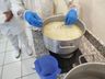 Alunos da casa familiar rural fazem aula prática relacionada a laticinios 