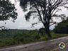 Temporal causa estragos em Itapiranga 