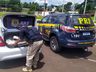 PRF apreende 127 kg de maconha na BR 282 em Maravilha