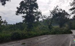 Temporal causa estragos em Itapiranga 