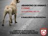 Cão abandonado invade viatura da PMRv e é adotado por policial