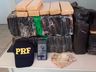 Operação conjunta apreende mais de 50 kg de maconha e prende suspeitos