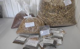 Agricultura registra aumento na procura de auxílio aos produtores