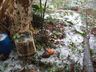 Chuva de granizo atinge interior de Campo Erê e São Bernardino 