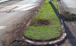 Urbanismo realiza embelezamento do canteiro com plantação de flores