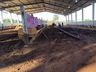 Trabalhos no Parque de Exposições são intensificados em São José do Cedro 