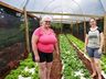 Na capital da fruta, produtores trabalham na sucessão familiar 