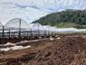 Empreendedor aposta na produção de hortifrutis no interior de Mondaí