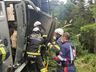 Caminhão carregado com 18 bois capota e animais caem em ribanceira em SC