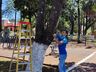 Decoração de natal começa a ser instalada em São José do Cedro