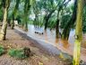 FOTOS: Nível de água do Rio Uruguai começa estabilizar em Itapiranga