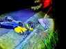 Colisão deixa motociclista gravemente ferido na BR-282 em SMO; vídeo