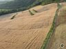 Realizado o primeiro voo turístico de balão, em Iporã do Oeste