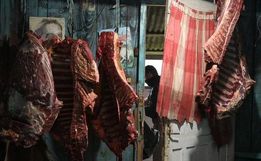 Carne de cavalo virava hambúrguer em cidade no Rio Grande do Sul