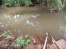 Poluição em rio pode causar falta de água em São João do Oeste