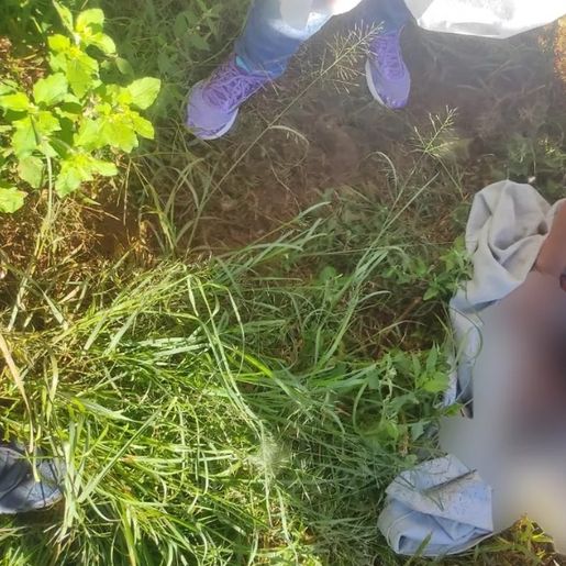 Recém-nascida é resgatada de dentro de latrina em reserva indígena no RS