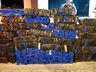 400 kg de maconha são apreendidos pela Polícia 