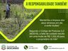 Setor de Engenharia de Descanso inicia fiscalização de limpeza de terrenos urbanos