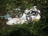 Homem morre em grave acidente na BR-282 em Nova Erechim