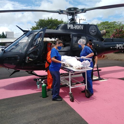 Homem fica ferido ao ser atingido por árvore 