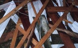 Temporal destelha dezenas de casas em Pinheirinho do Vale