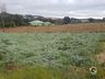 Município registra dia mais frio do ano