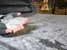 Santa Catarina amanhece com temperaturas negativas e sensação térmica de -25ºC 