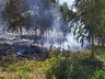 Incêndio queima 3500m² de mata em Campo Erê