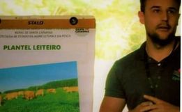 Conectando ao Agro fala sobre alimentação do gado de leite e corte; ouça