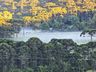 Serra de SC registra geada e temperatura de 4°C em pleno verão