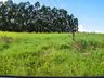 OUÇA: Peperi anuncia projeto para Parque Florestal na Linha Emboaba