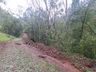 Temporal provoca destelhamentos em cerca de 100 casas em São Miguel do Oeste, diz Defesa Civil