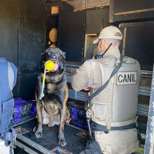Ação conjunta PRF e PM apreende 404 kg de maconha na BR 282 em Maravilha