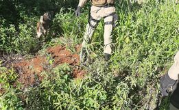 Suspeito de assalto em Belmonte é preso no interior de Itapiranga