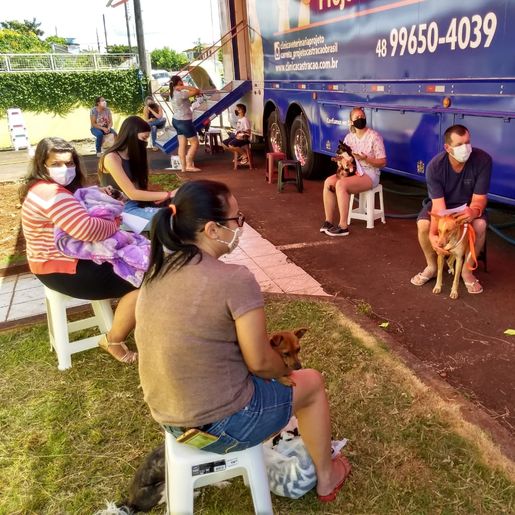 ONG Cedro Animal realiza a primeira castração do ano