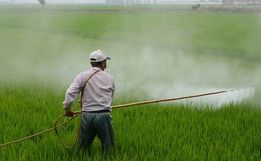 PM Ambiental alerta: Agrotóxicos proibidos e queimadas trazem riscos à saúde e ao meio ambiente