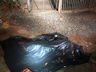 Homem é brutalmente assassinado em Palmitos