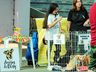 “Dia C de Cooperar” reúne grande público em São Miguel do Oeste