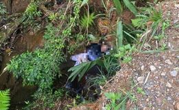 Corpo com marcas de violência é encontrado em Santa Catarina