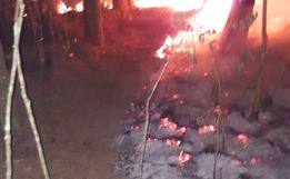 Vídeo: Bombeiros levam seis horas para combater incêndio em reflorestamento no interior de Riqueza