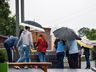 Mesmo com chuva, Dia de Finados tem boa movimentação de público