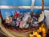 Escola de Itapiranga transforma árvores caídas em peças artesanais 