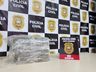 Polícia Civil apreende 10kg de maconha na rodoviária de Maravilha