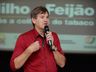 Trigo pode suprir carência de milho na região