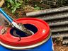 VÍDEO: Morador encontra Jararaca em porão de casa e aciona bombeiros em SMO