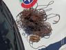 Polícia Militar apreende fios de cobre e maconha a posse de um adolescente de 15 anos 