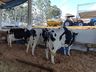 Estandes estão sendo montados para a 6ª Expo Cedro