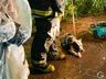 Saída de pista seguida de choque lateral em árvore deixa dois feridos no acesso a SMOeste